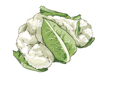 Verdurology cavolfiore