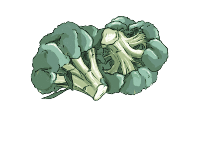 Verdurology broccolo