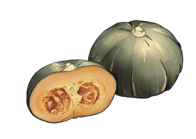 Verdurology zucca