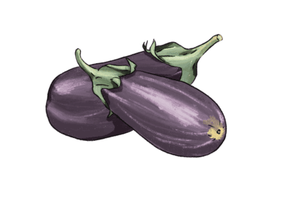 Verdurology melanzane