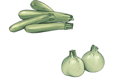 Verdurology zucchine